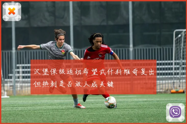 汉堡保级迫切希望武什科维奇复出但热刺是否放人成关键
