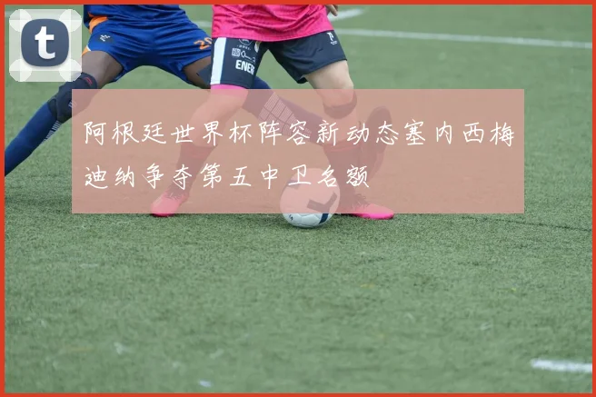 阿根廷世界杯阵容新动态塞内西梅迪纳争夺第五中卫名额
