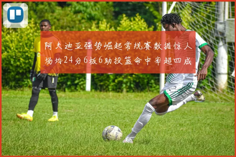 阿夫迪亚强势崛起常规赛数据惊人场均24分6板6助投篮命中率超四成