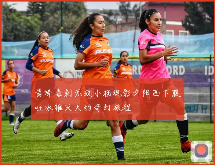 黄蜂毒刺无效小杨观影夕阳西下腹吐冰锥灭火的奇幻旅程